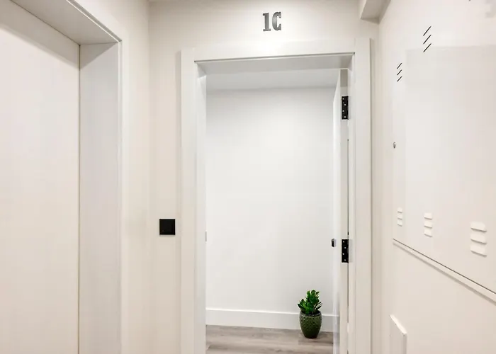 Bse15 1c, A In Madeira *