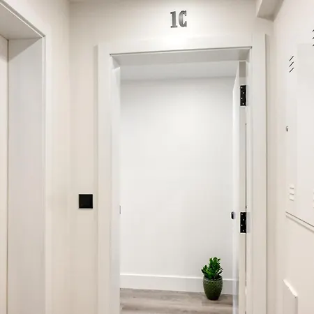 Bse15 1c, A In Madeira *