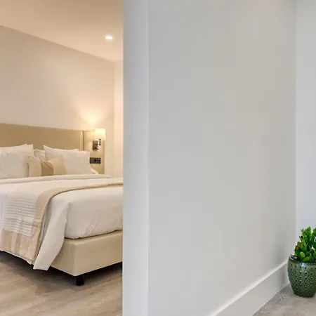 Bse15 1c, A In Madeira